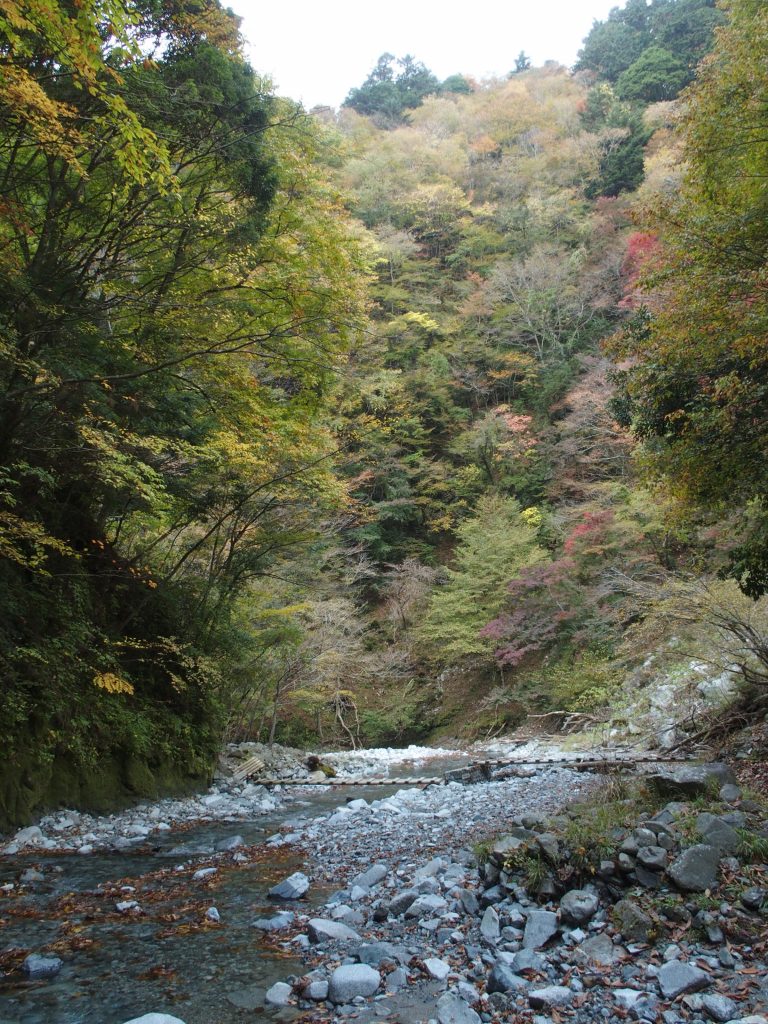 木橋もマメに手入れされている