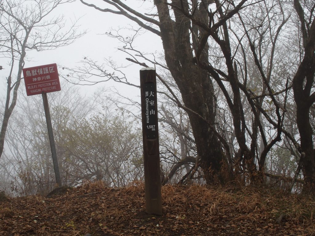 神奈川県の大室山山頂標柱