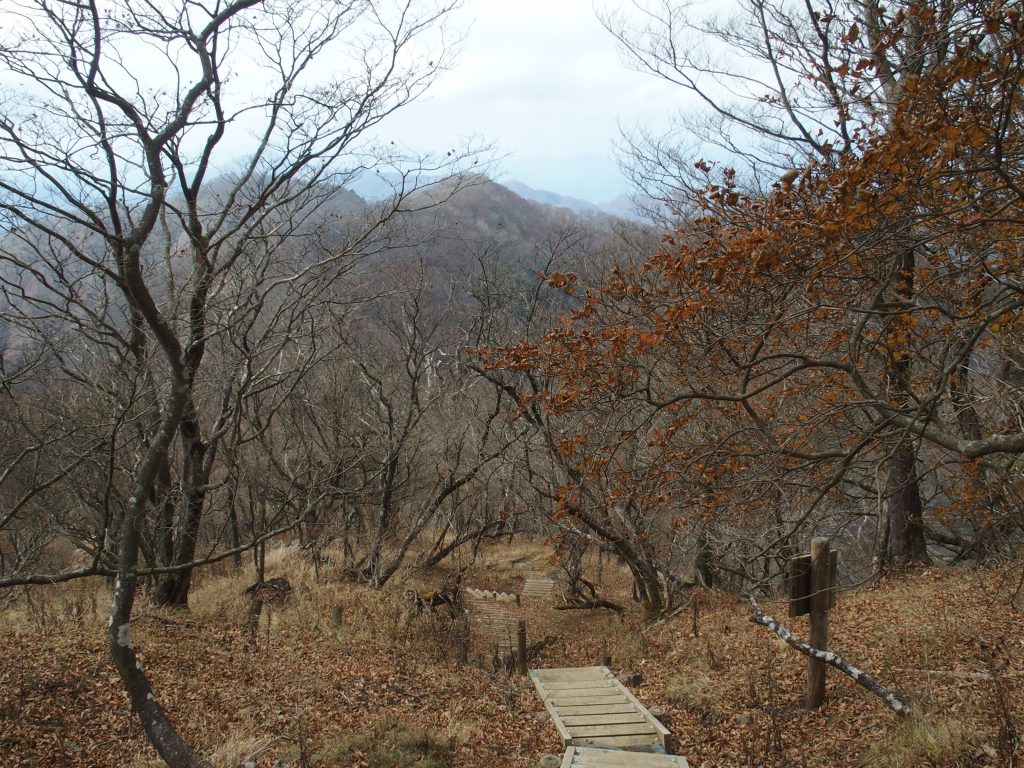 下って登る経路が丸見えで精神的にはダメージあるかもね