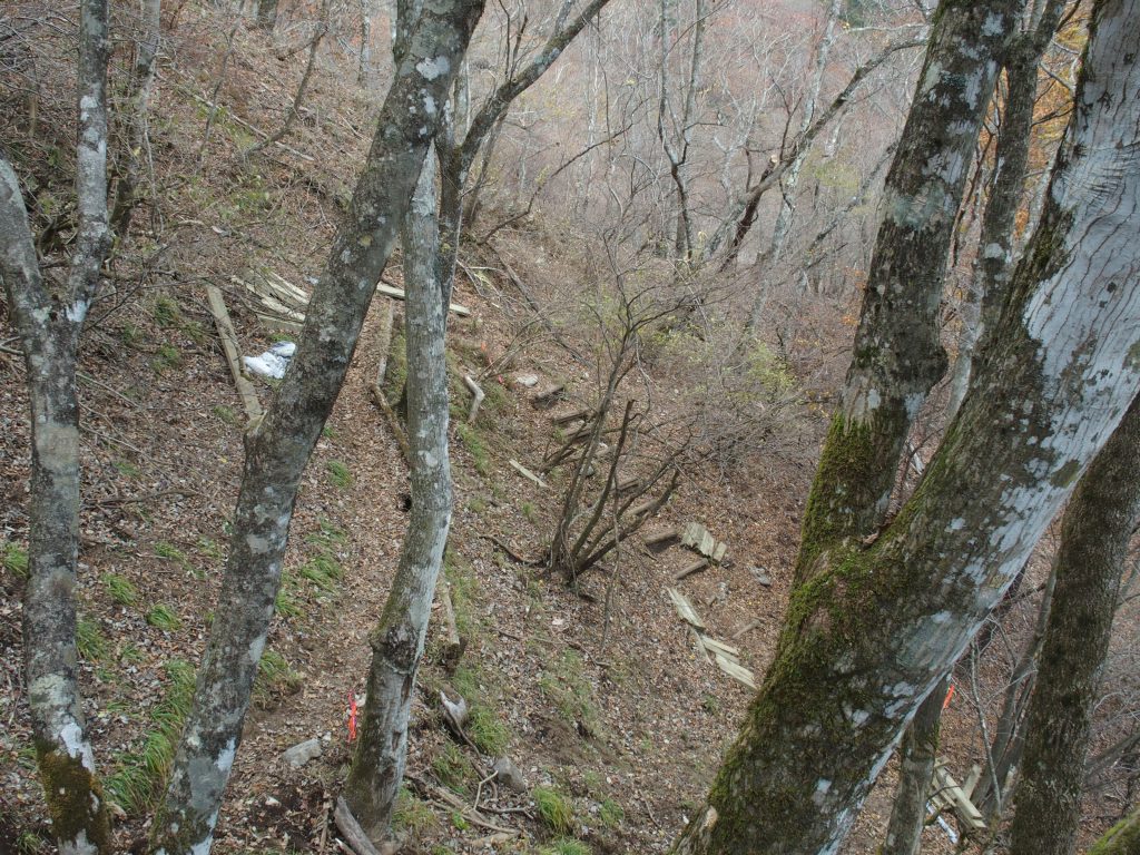 登山道はグジャグジャ