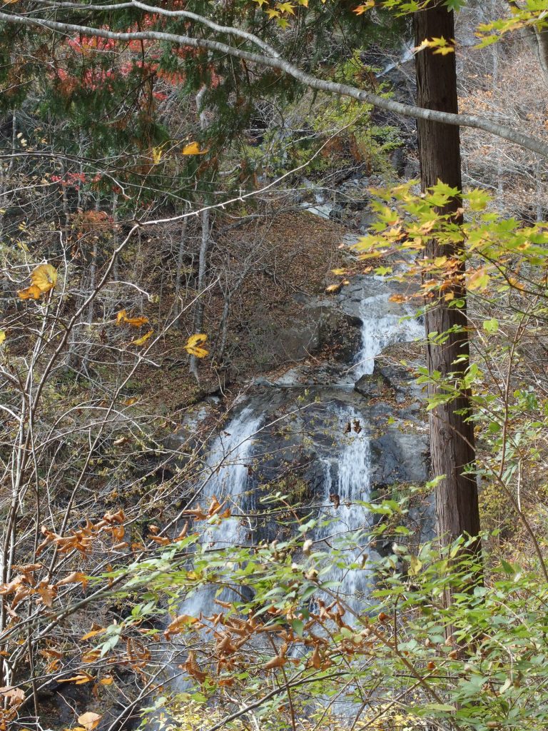 木々の間から2条の滝