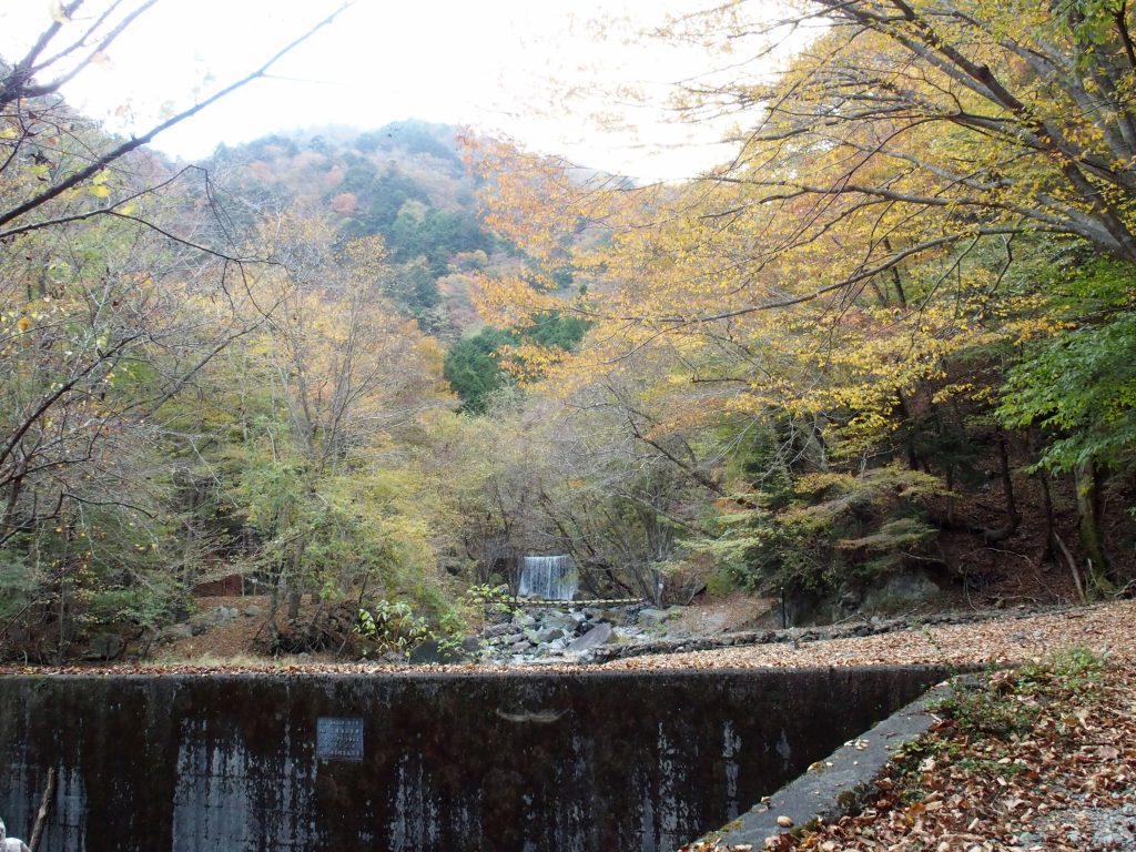 堰堤が連続する林道終点付近