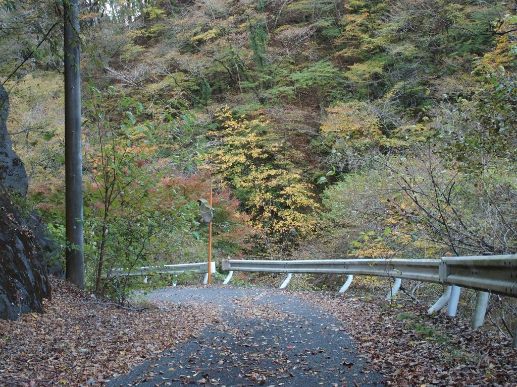 用木沢出合からの林道