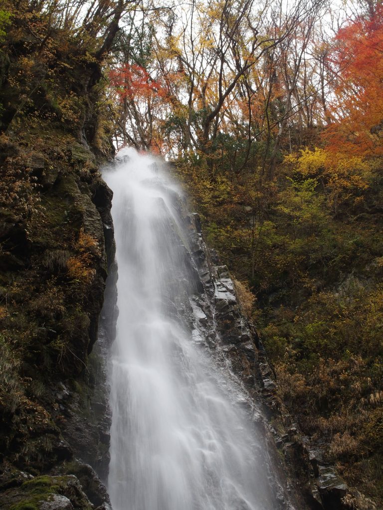 紅葉の中を