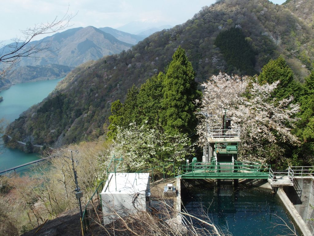 丹沢湖を俯瞰、富士山を遠望