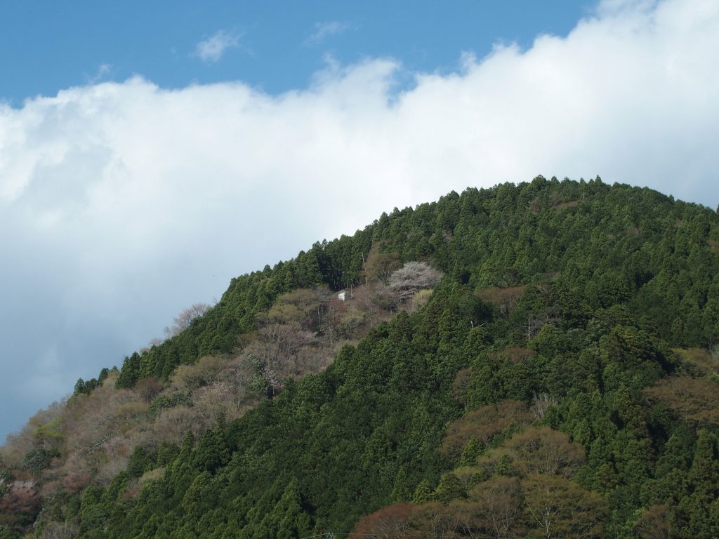 玄倉から見上げる