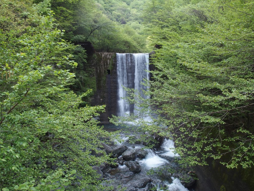 雨から中一日、水量はやや多め