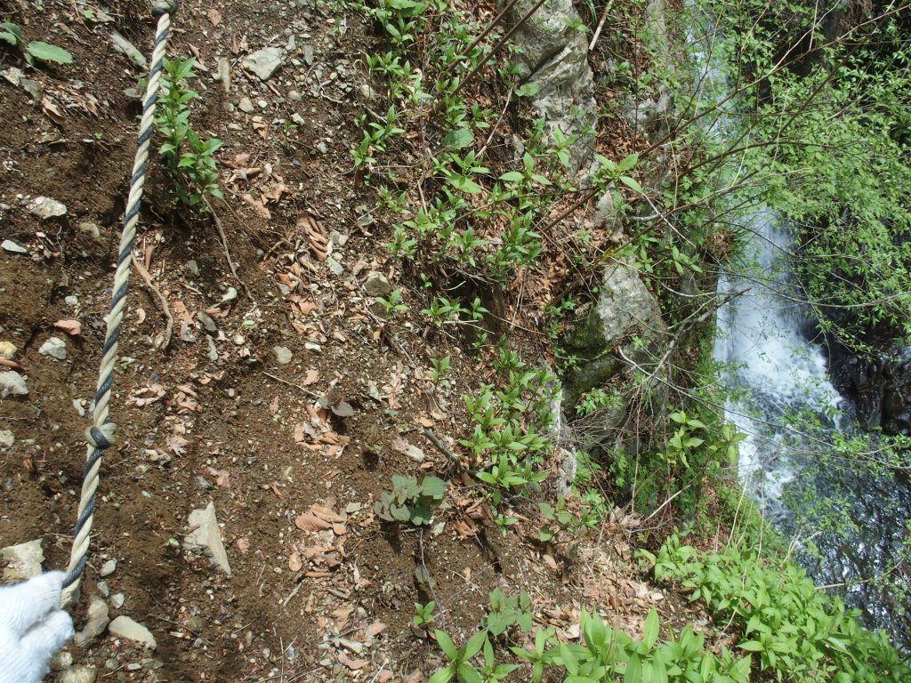 うっかりするとあの水まで落ちる