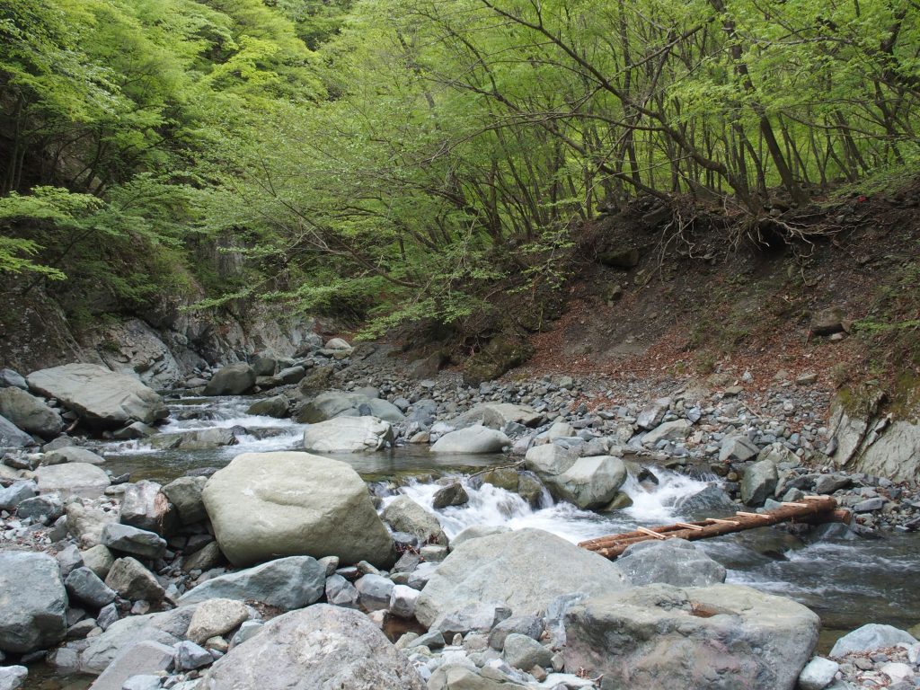 趣のある山の景色