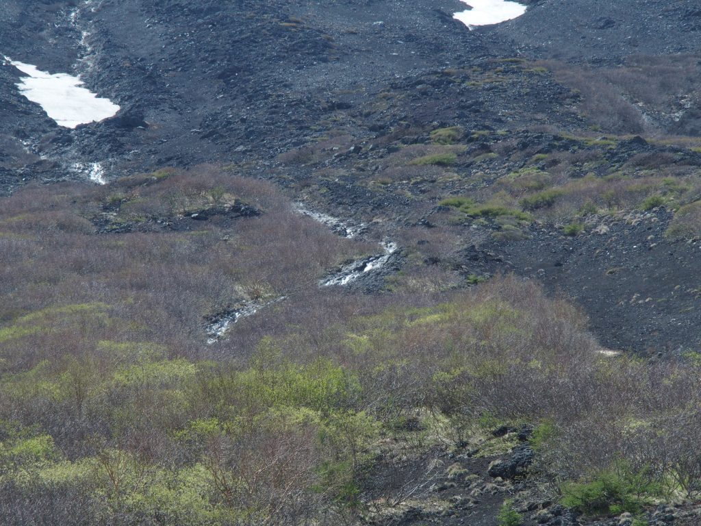 水流のアップ