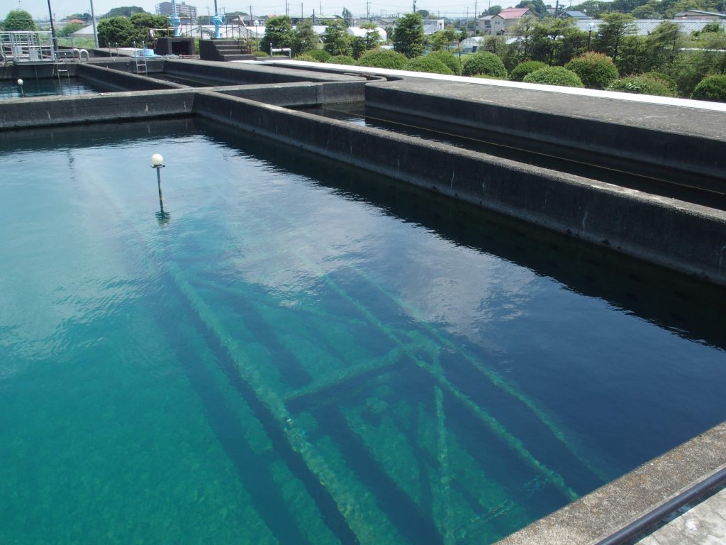 青い水の景色が浄水場の魅力