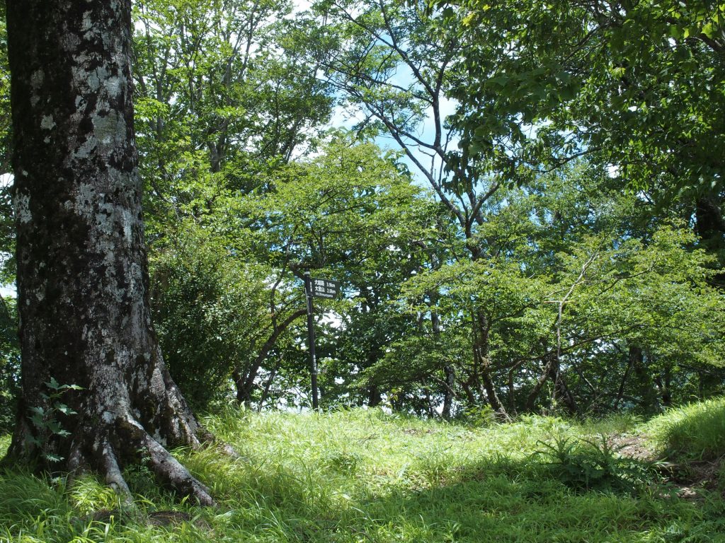 視界は開けていないけれど