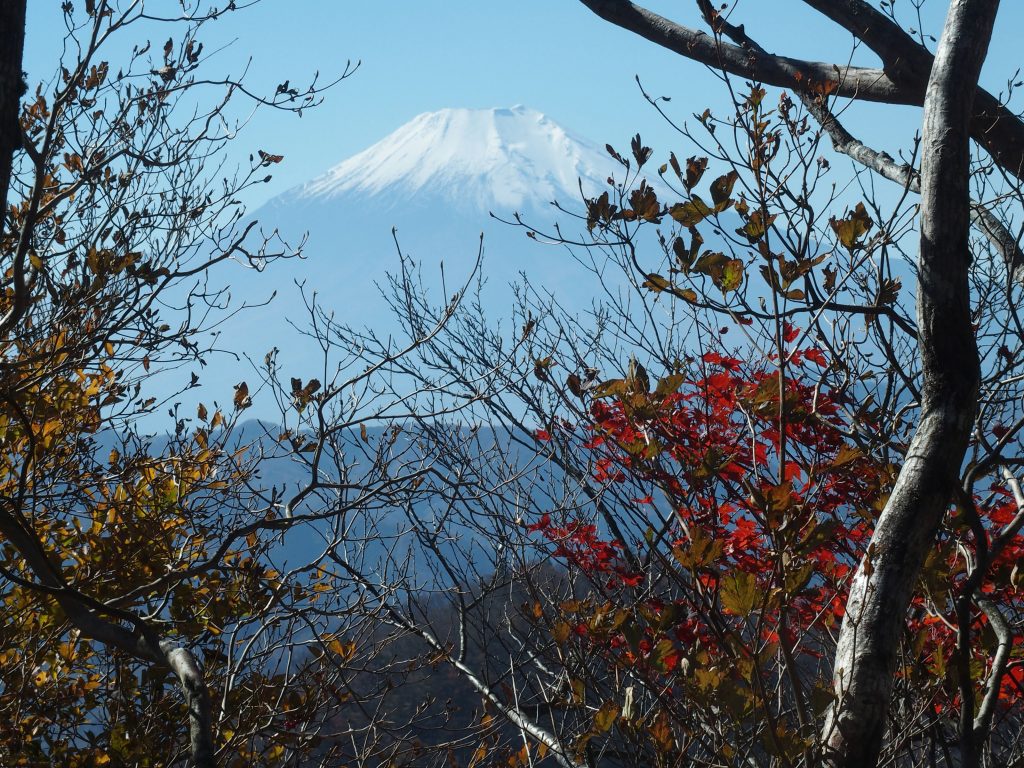 ずっと富士山が見え隠れ