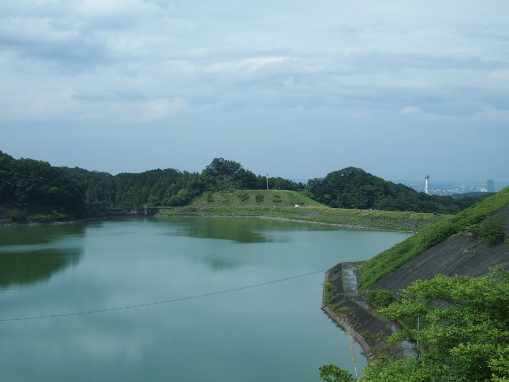 通常の水位。なみなみと