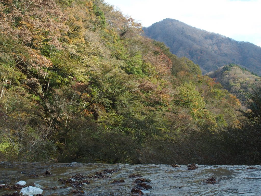 堰堤の下方が西丹沢ビジターセンター